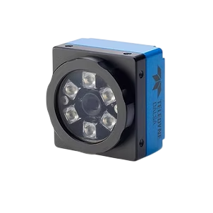 boa-spot-thumbnail-1-Photoroom